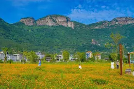美！福州11月公园赏花好去处！图片