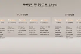 新车看点｜售价33.98万元起，25款腾势D9上市图片