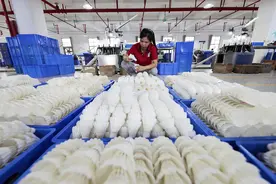 羽毛球价格大涨，哪些环节导致涨价？鹅毛鸭毛去哪儿了？图片