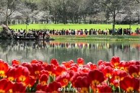 32℃来了！杭州人这两天抓紧时间，接下来太疯狂！小心它……图片