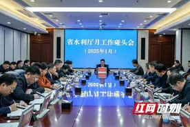 湖南省水利厅召开月工作碰头会议 研究部署岁末年初工作图片