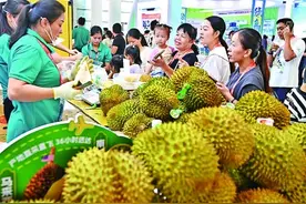 东博会“魅力之城”为人文交流增光添彩图片