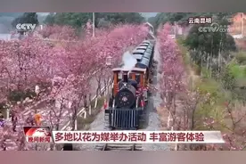 一起乘上开往春天的时光火车 穿越花海🌷🌺🌹🌸🌼图片