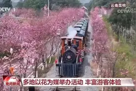 一起乘上开往春天的时光火车 穿越花海🌷🌺🌹🌸🌼图片