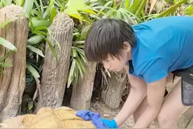 真爱！全红婵沉浸式示爱图片