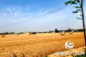 新蔡县佛阁寺镇：秸秆打捆离田 绿色环保增效图片