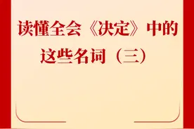 新闻多一点｜读懂全会《决定》中的这些名词（三）图片