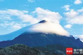 海南周刊 | 雨林之光图片