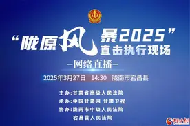 法律利剑出鞘 判决不是空文——“陇原风暴2025”宕昌县强制执行行动纪实图片
