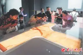 专家研究发现，马王堆汉墓与海上丝绸之路关系紧密图片