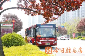 一枝一叶总关情 公交发展惠民生图片