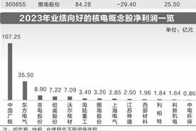 我国核电产业取得长足进步 未来提升空间大图片