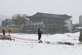 韩国首尔迎来春雪图片