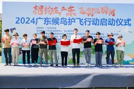 南粤各地陆续迎来首批候鸟，广东启动2024年候鸟护飞行动图片
