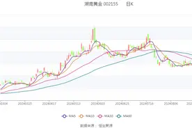 湖南黄金：2024年上半年净利润4.38亿元 同比增长56.71%图片