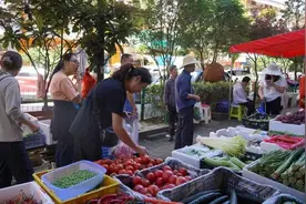 贵州毕节：百里杜鹃天然氧吧成“候鸟天堂”图片