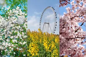 联播观察丨春日花海大PK！五彩地图解锁浪漫赏花秘籍🌸🌼🌷💐🌻🌺图片