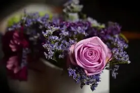 欲望呈现的不同面孔——观话剧《我爱桃花》图片