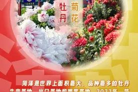 看菏泽与开封的双向奔赴图片