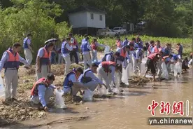 云南澜沧：增殖放流4.6万尾鱼苗图片