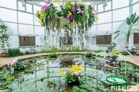 武汉植物园发布春日赏花指南图片