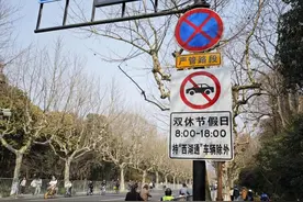 回看杭州西湖景区“双限”首个周末：部分举措还是不够便民，何时更优化？图片