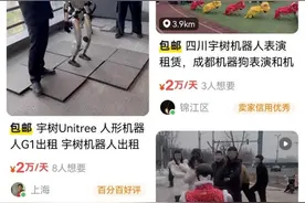 二手市场“人形机器人”日薪过万，有豪车租赁商购十多台机器人转型，订单排到3月底图片