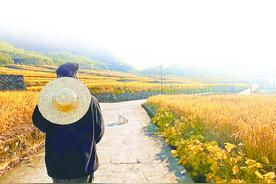 寻找“我的阿勒泰”，中国年轻人的乡野故事图片