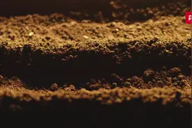 “丰”从草原来|锡林郭勒：把小草做成产业 为乳肉高质量把好源头关图片