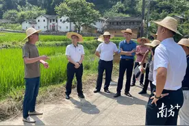 陈金銮到西阳镇调研全域土地综合整治有关工作图片