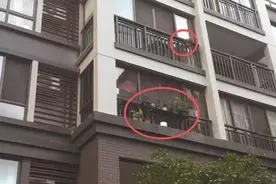 众所周知，连云港春天风比较大……图片