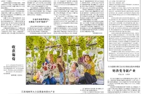 向沙地要食物，实现绿富共赢（构建多元化食物供给体系）图片