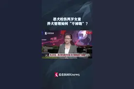 恶犬咬伤两岁女童 养犬管理如何“不掉链”？图片