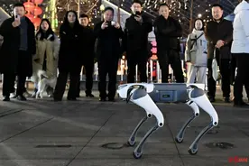 科技与传统碰撞 20余款“成都造”机器人除夕夜齐现图片