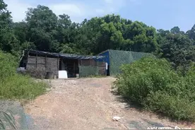 查获假烟190万支，抓获21人,惠州捣毁一假烟制造窝点图片