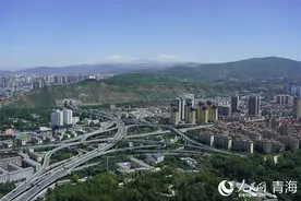在西宁，感受绿意涌动图片