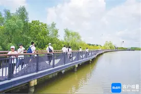 文化中国行丨国庆假期 湿地成为海南网红打卡地图片