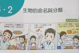 在台湾，花生叫土豆？ 那土豆叫啥?图片