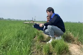 曹曦：助力农村集体经济增收致富 为“美丽乡村”建设添砖加瓦图片