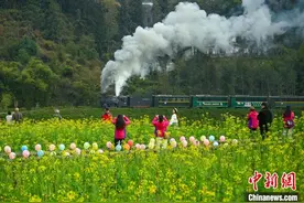 四川犍为早季油菜花陆续盛开吸引游客图片