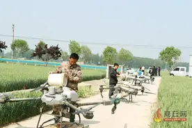 无人机喷洒更像一场科技秀图片