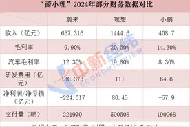 V观财报｜“蔚小理”的2024：理想毛利率最高，蔚来研发费用是小鹏2倍图片