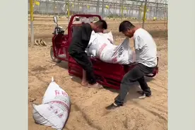 人间丨5名无臂男子种植百个大棚虽是误传 但是他们努力生活的故事却是真的图片