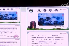 借"林”发力借“绿”生金 农民吃上“生态饭”鼓足“钱袋子”图片