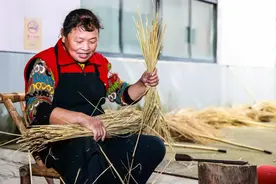 集牛、虎、鹿、蛇、鹰、凤于一身的叶榭竹编草龙如何制成？来看→图片