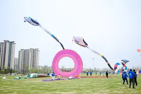 江苏泰兴举办风筝交流展示赛图片