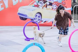 这两场宠物活动你参加了吗？真的太幸福啦！图片