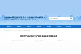 山东省市场监管局发布2024年汽车内饰材料产品质量省级监督抽查结果图片