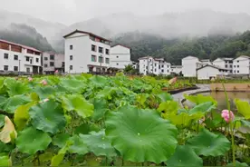 “铜”享清凉·嗨“啤”一夏！酉阳溪望花滩啤酒季邀你共享欢乐派对图片