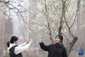 生态中国｜花开神州春意浓图片